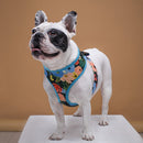 Flower Power Harness (No Pull)