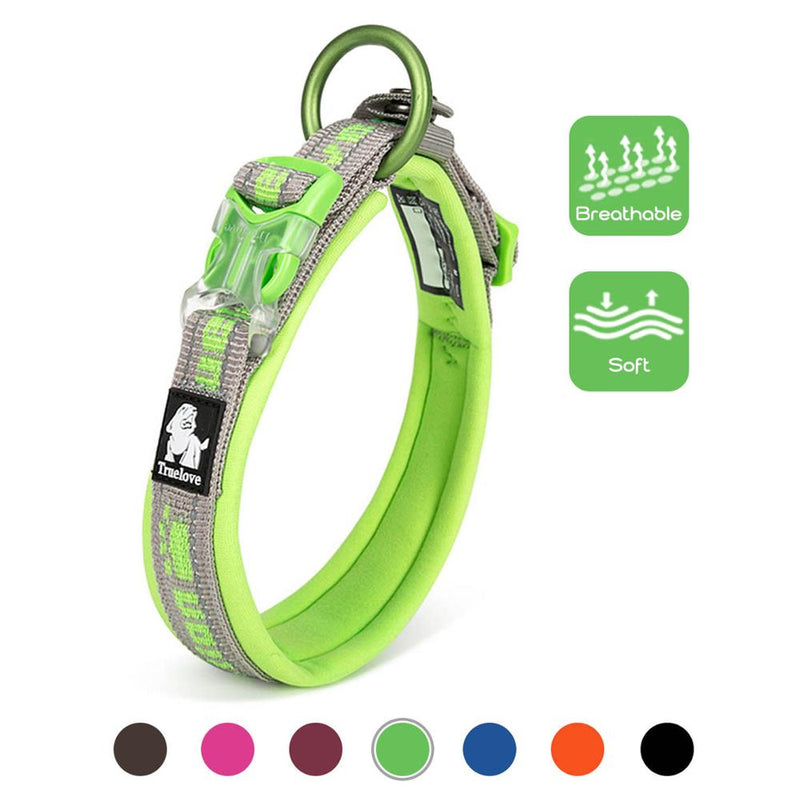 Neoprene padded dog collar sale