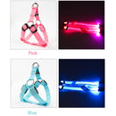 LED Glow in the Dark Harness (No-Pull) for dogs - __label2:HappyDog's Choice, __label:Bestseller, Adjustable, Blue, Collar, Easy On, Green, Harness, LED, Lights, No-Pull, Orange, Purple, Red, Safety, Step In, Yellow