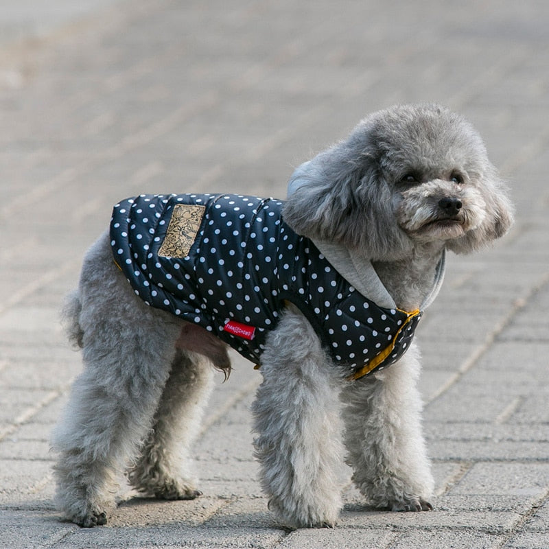 Hoodie Sweater Vest for dogs - Dots, Hoodie, Polka Dots, Sweater, Vest