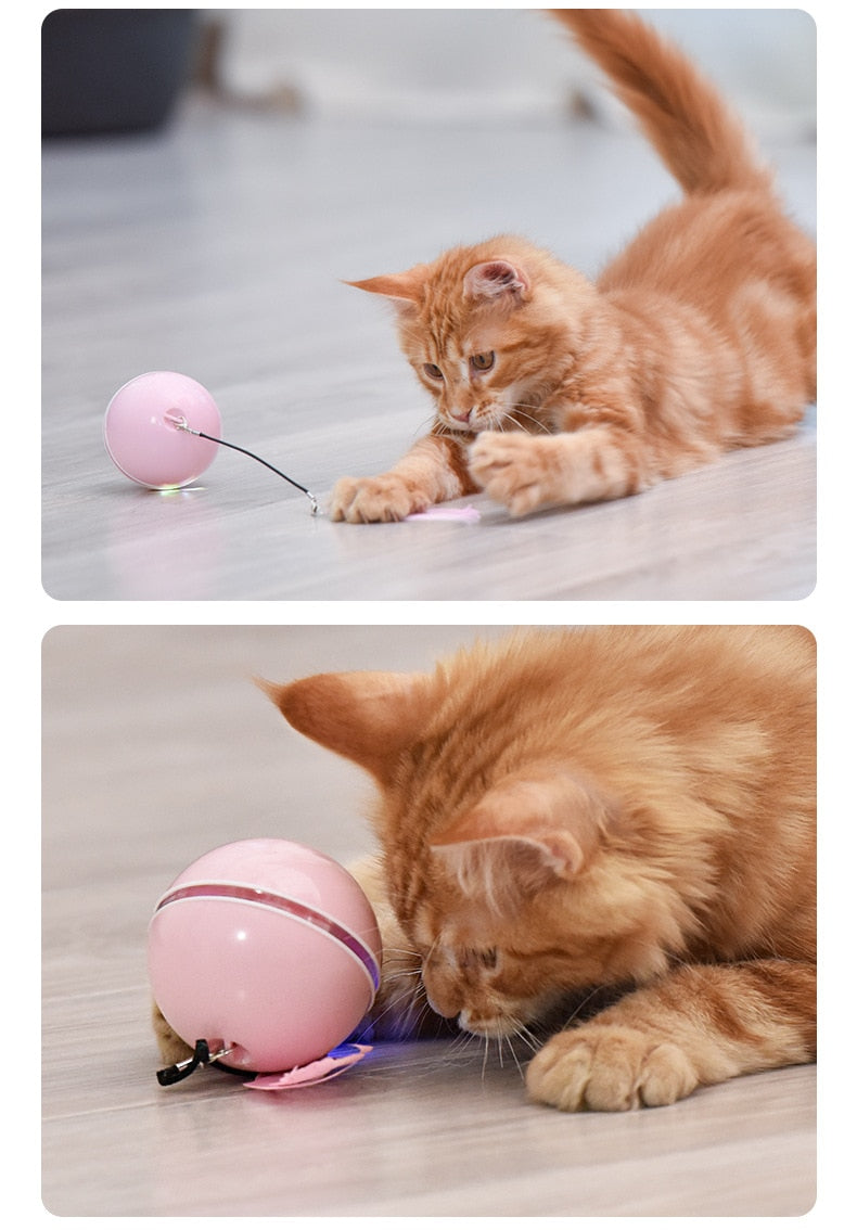 Automatic Rolling Smart Ball w/ Lights (USB Rechargeable) for Cats