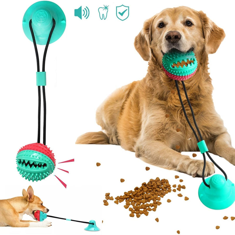 Suction Cup Food Chew Ball