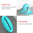 Suction Cup Food Chew Ball