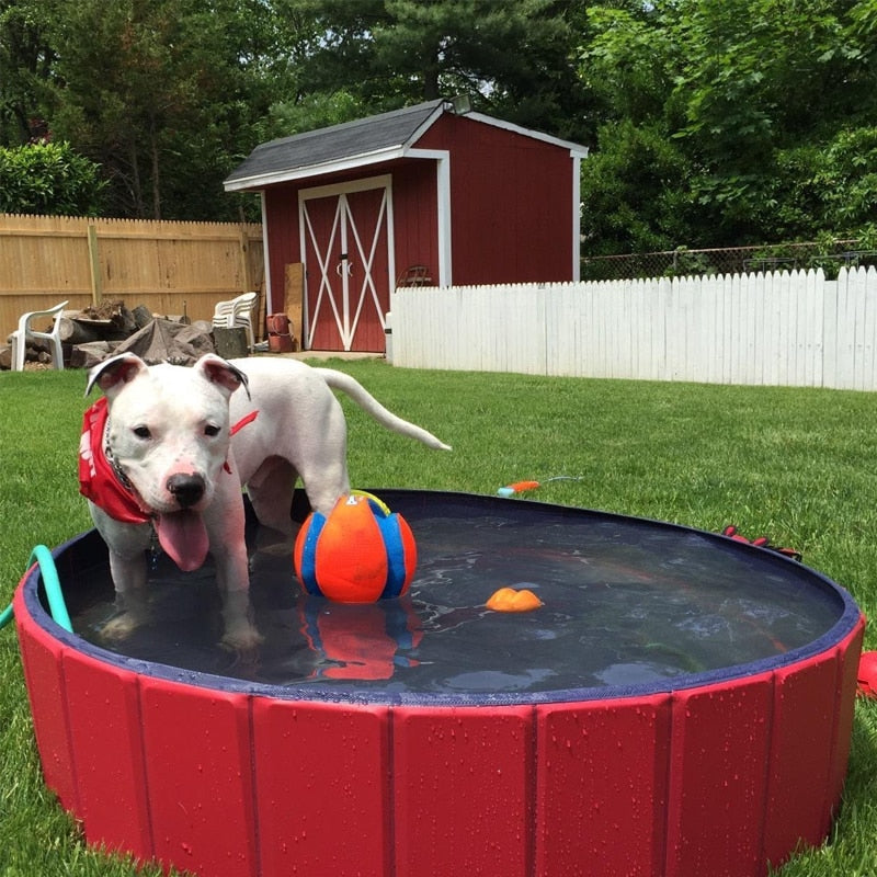 Dog Swimming Pool (Foldable)