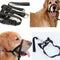 Pet Safe Gentle Halt Head Collar