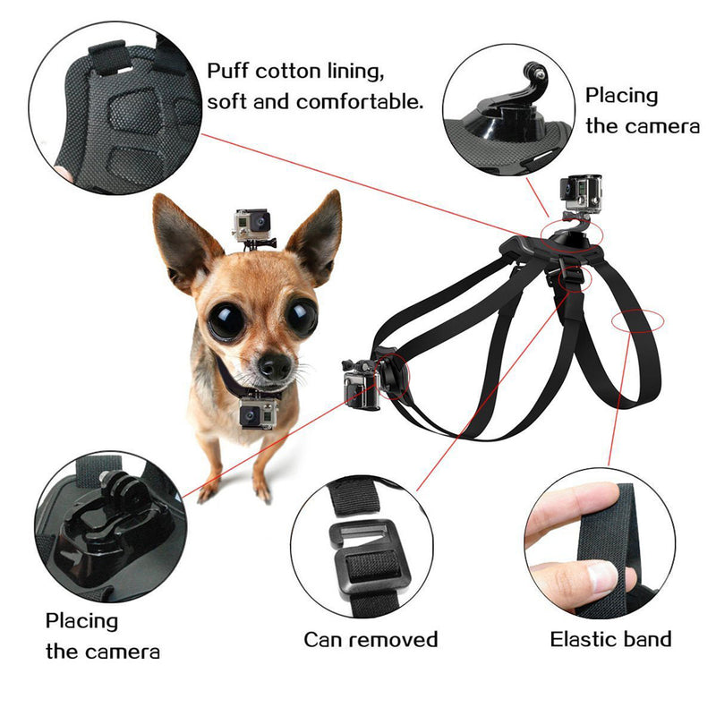 Dog 2024 camera mount