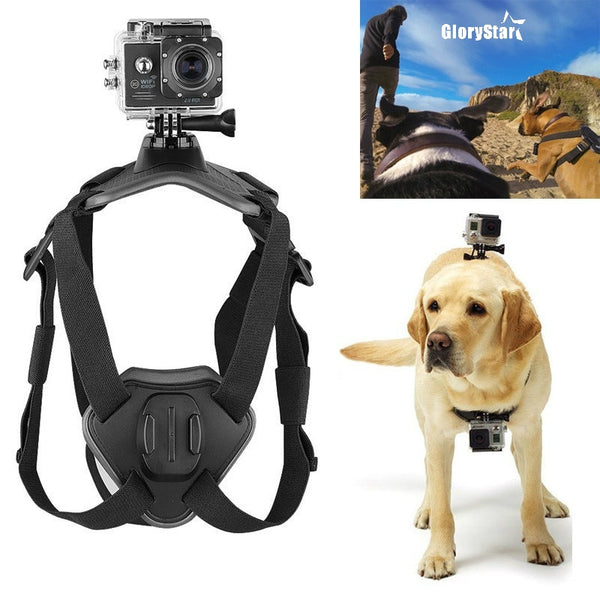 Pro Camera Mount Dog Harness for Dogs Free Shipping HappyDog