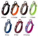 Neoprene Padded Waterproof Collar