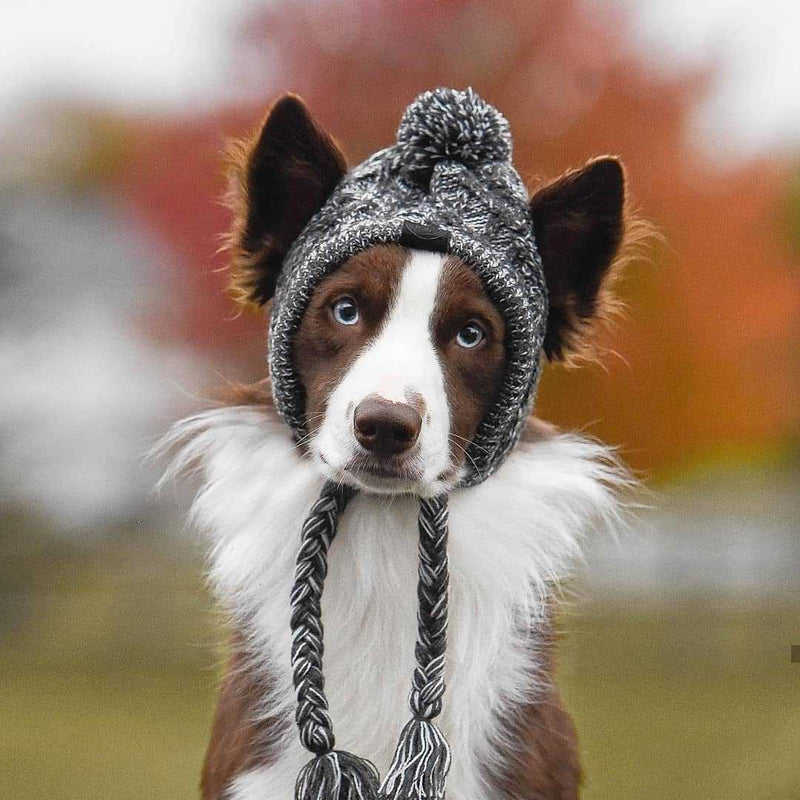 Winter Toque Hat