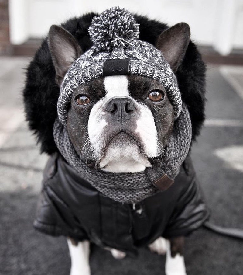 Winter Toque Hat