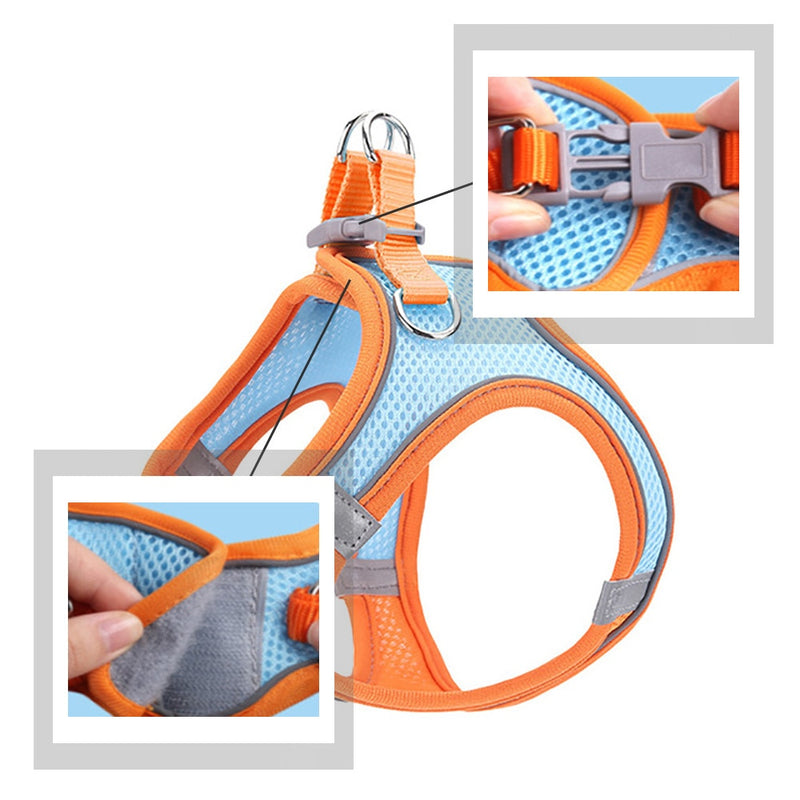Easy Comfort Harness (No-Pull)