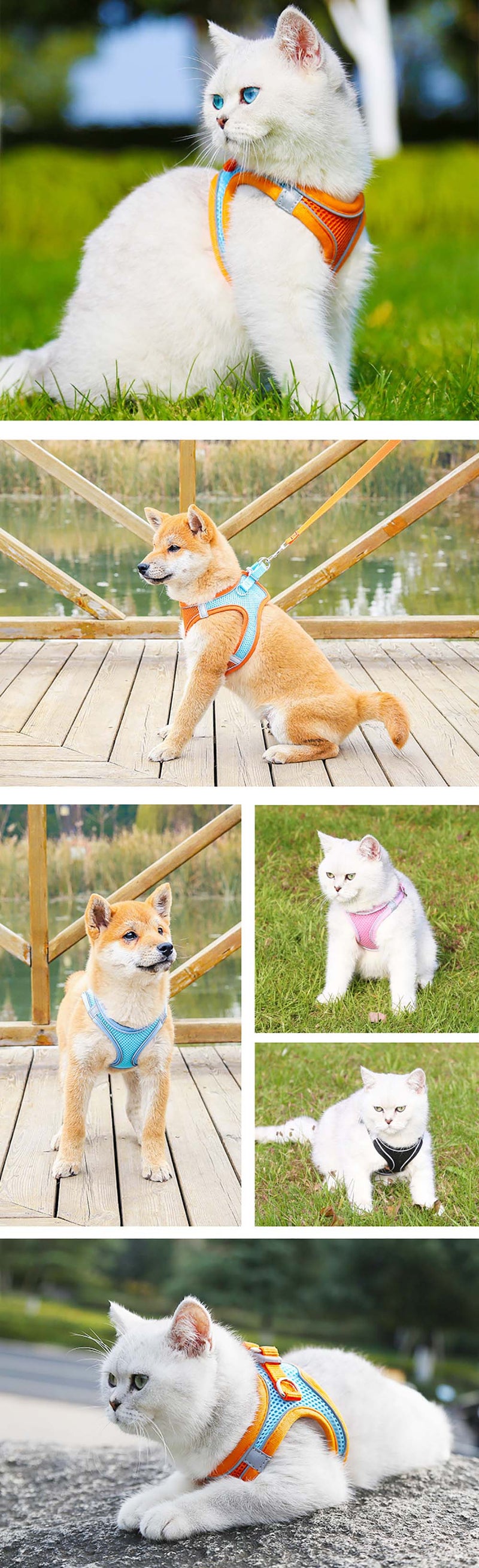 Easy Comfort Harness (No-Pull)