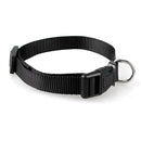 Value Collar for dogs - Collar, Strap