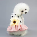 Angel Princess Dress for dogs - Dress, Flowers, Skirt, Spring, Summer