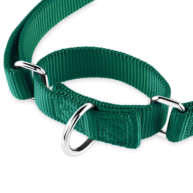 Adjustable Leather Martingale Chain Dog Collar – sleepy pup